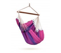 Orquidea Purple Basic