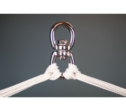 Orquidea Purple Basic