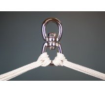 Orquidea Purple Basic