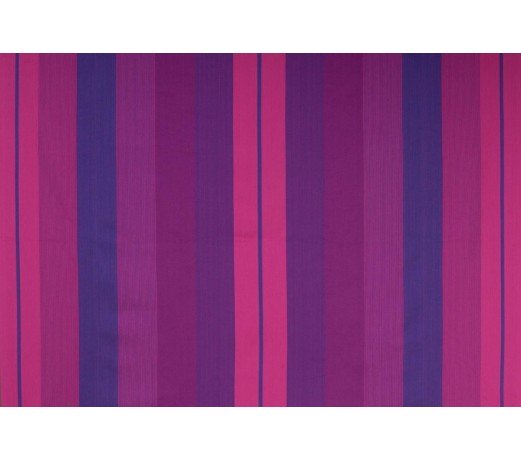 Orquidea Purple Basic