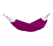 Hamac Florida Berry